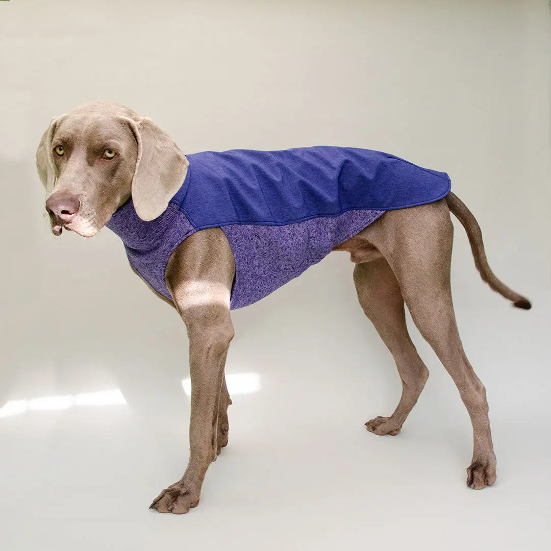 Hunde-Pullover mit Softshell „Chico“-SDW 4legs.de