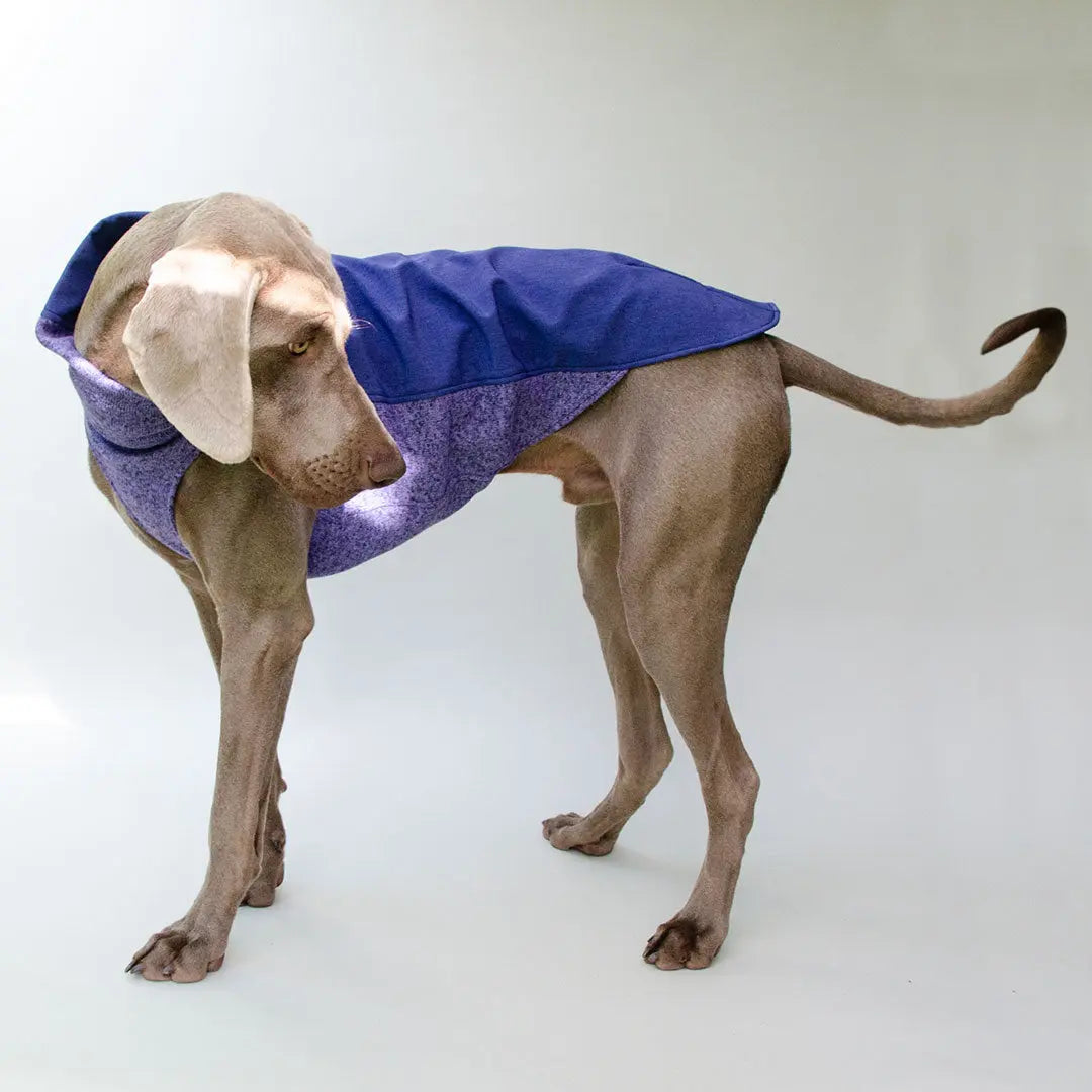 Hunde-Pullover mit Softshell „Chico“-SDW 4legs.de