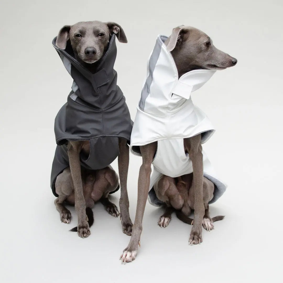 Hunde-Regenmantel "Safe From Rain" white - 4legs.de