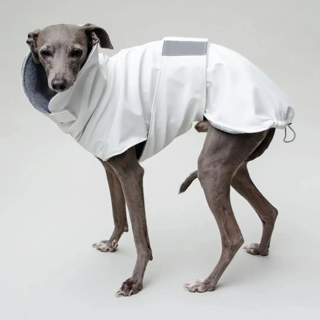 Hunde-Regenmantel "Safe From Rain" white - 4legs.de