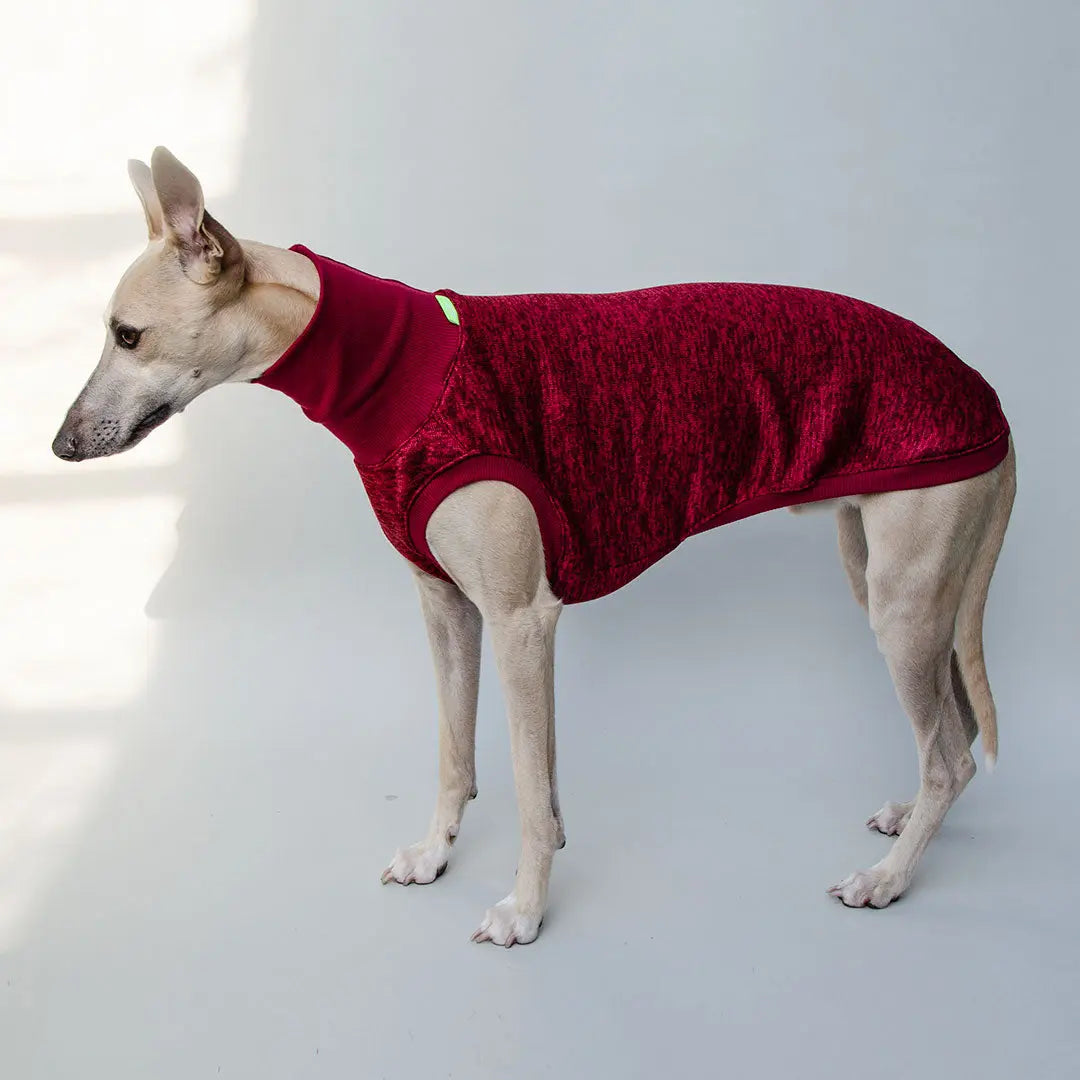 Hunde-Shirt "Super Dry" - bordeaux 4legs.de