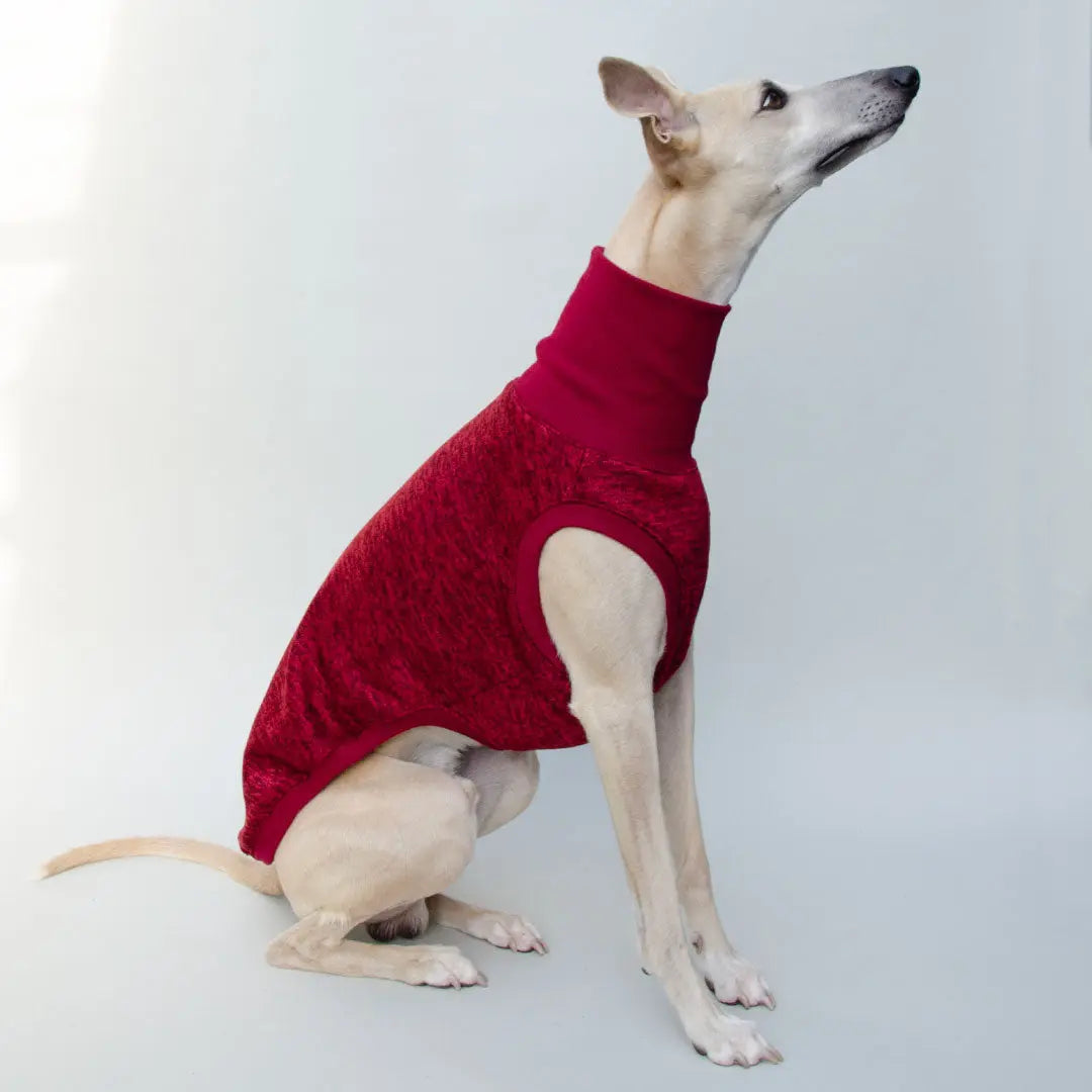 Hunde-Shirt "Super Dry" - bordeaux 4legs.de