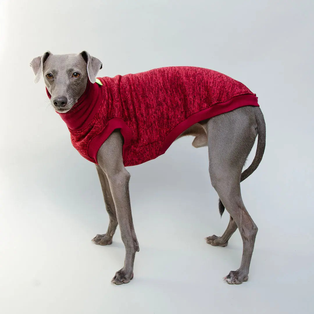 Hunde-Shirt "Super Dry" - bordeaux 4legs.de