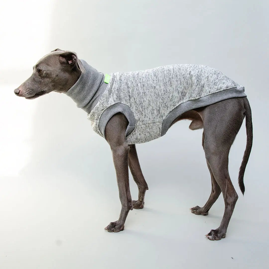 Hunde-Shirt "Super Dry" - hellgrau 4legs.de