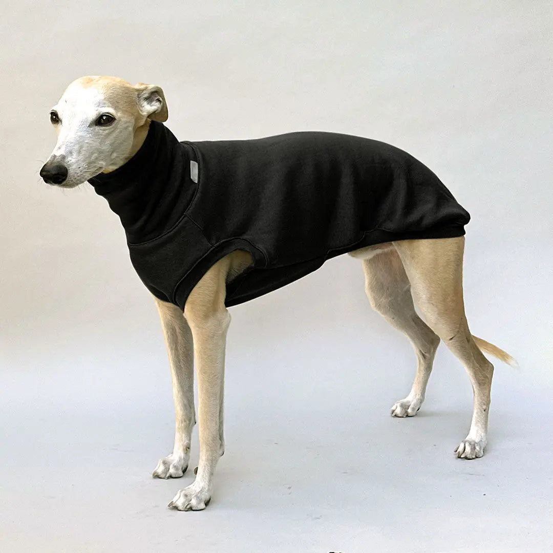 Hunde-Sweater "COZY" - black 4legs.de