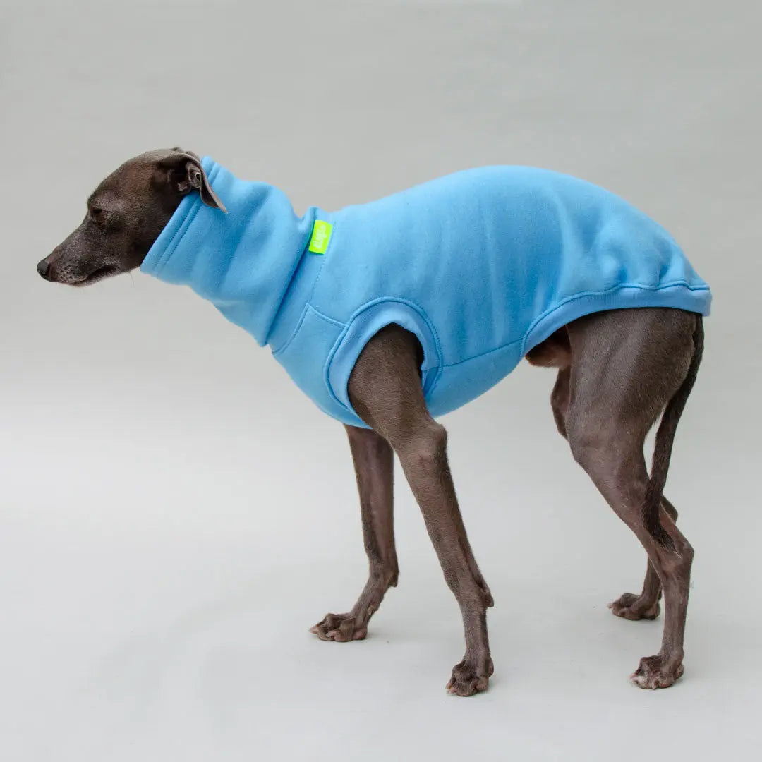 Hunde-Sweater "COZY" - bleu 4legs.de