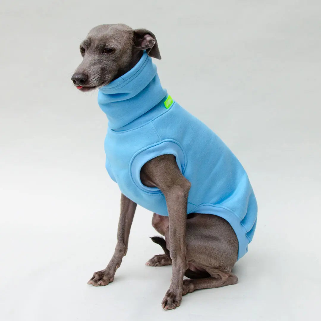 Hunde-Sweater "COZY" - bleu 4legs.de