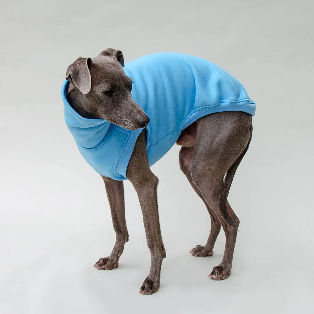 Hunde-Sweater "COZY" - bleu 4legs.de