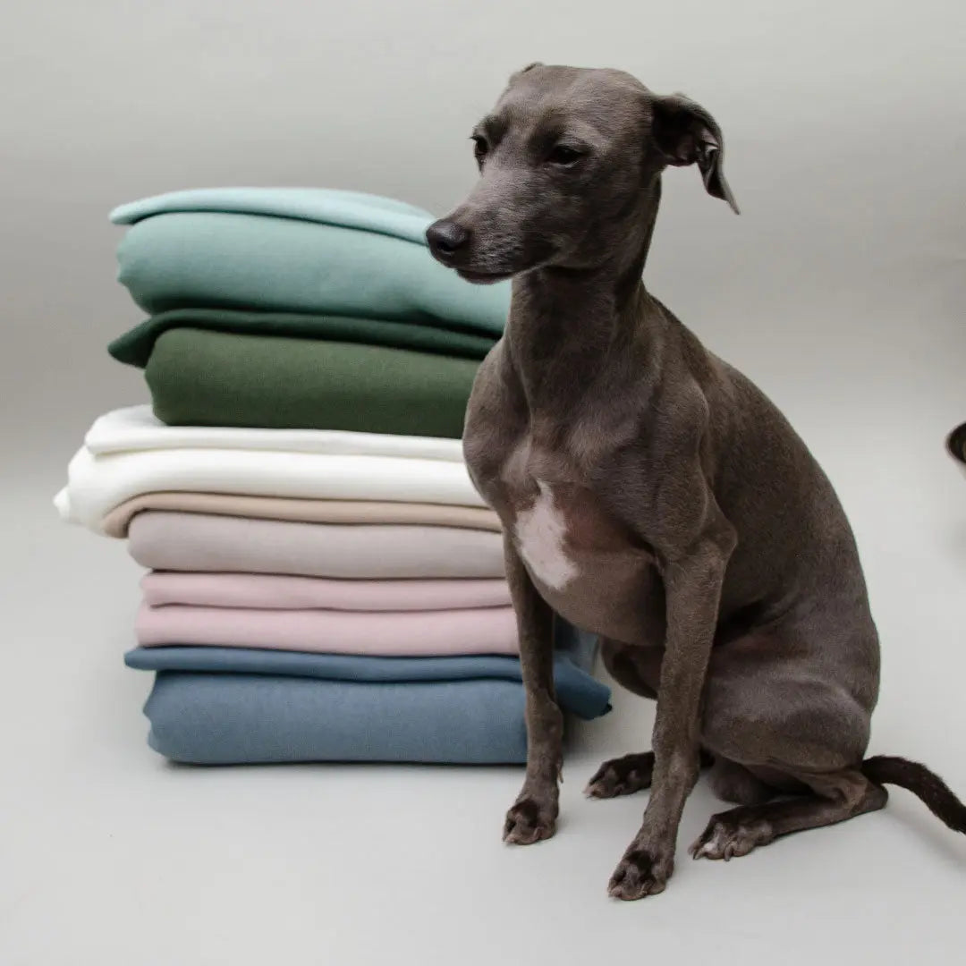 Hunde-Sweater "Personal Baseball" - 4legs.deseo score