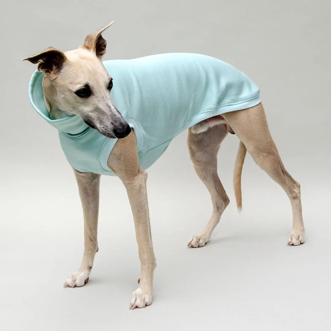 Hunde-Sweatshirt "COZY" - mint 4legs.de