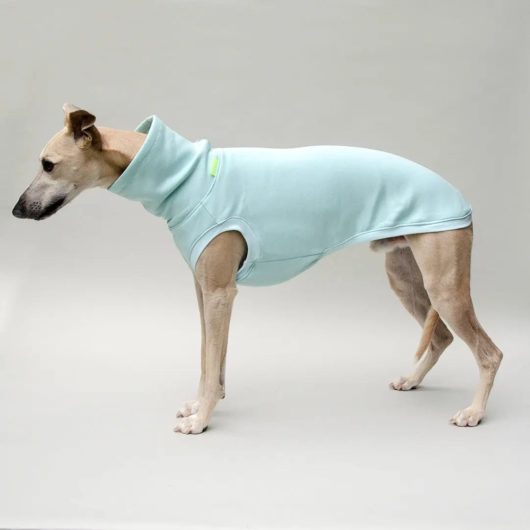 Hunde-Sweatshirt "COZY" - mint 4legs.de