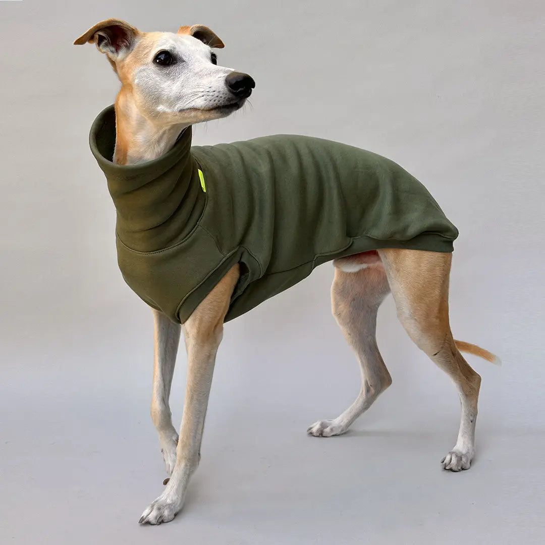 Hunde-Sweatshirt "COZY" - oliv 4legs.de