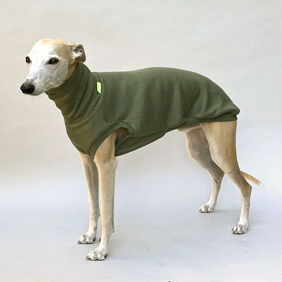 Hunde-Sweatshirt "COZY" - oliv 4legs.de