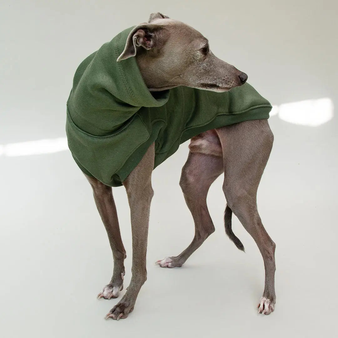 Hunde-Sweatshirt "COZY" - oliv 4legs.de