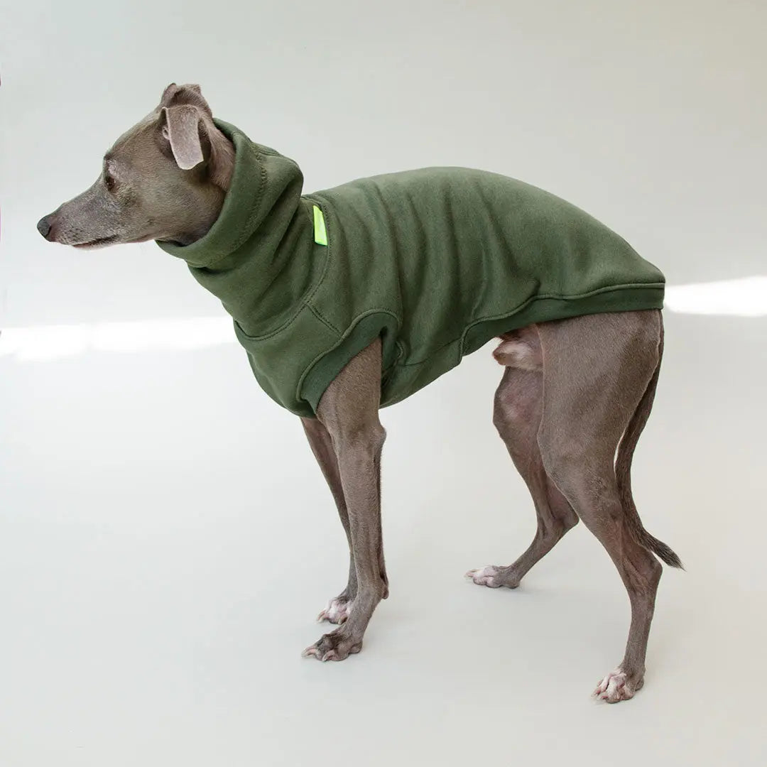 Hunde-Sweatshirt "COZY" - oliv 4legs.de