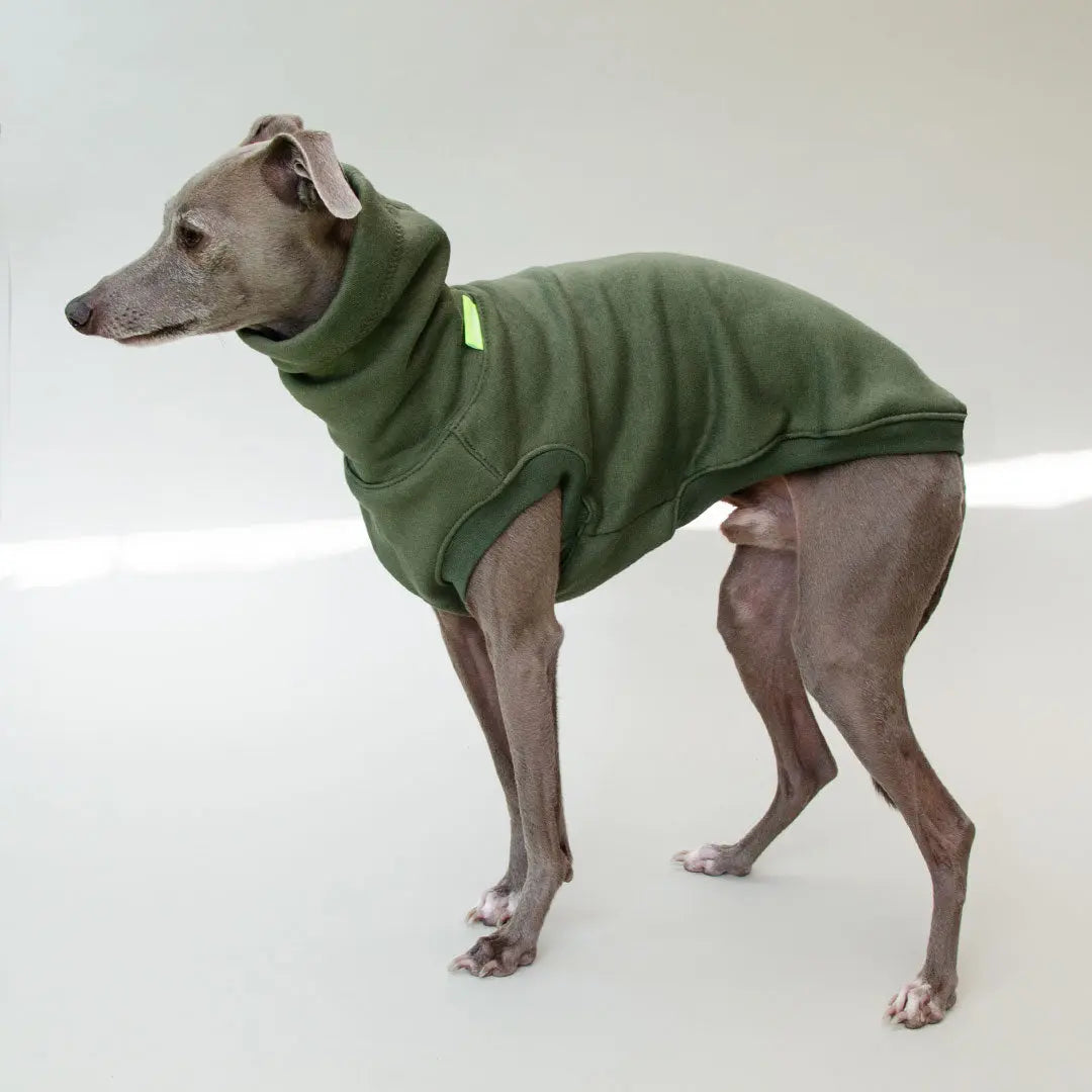 Hunde-Sweatshirt "COZY" - oliv 4legs.de