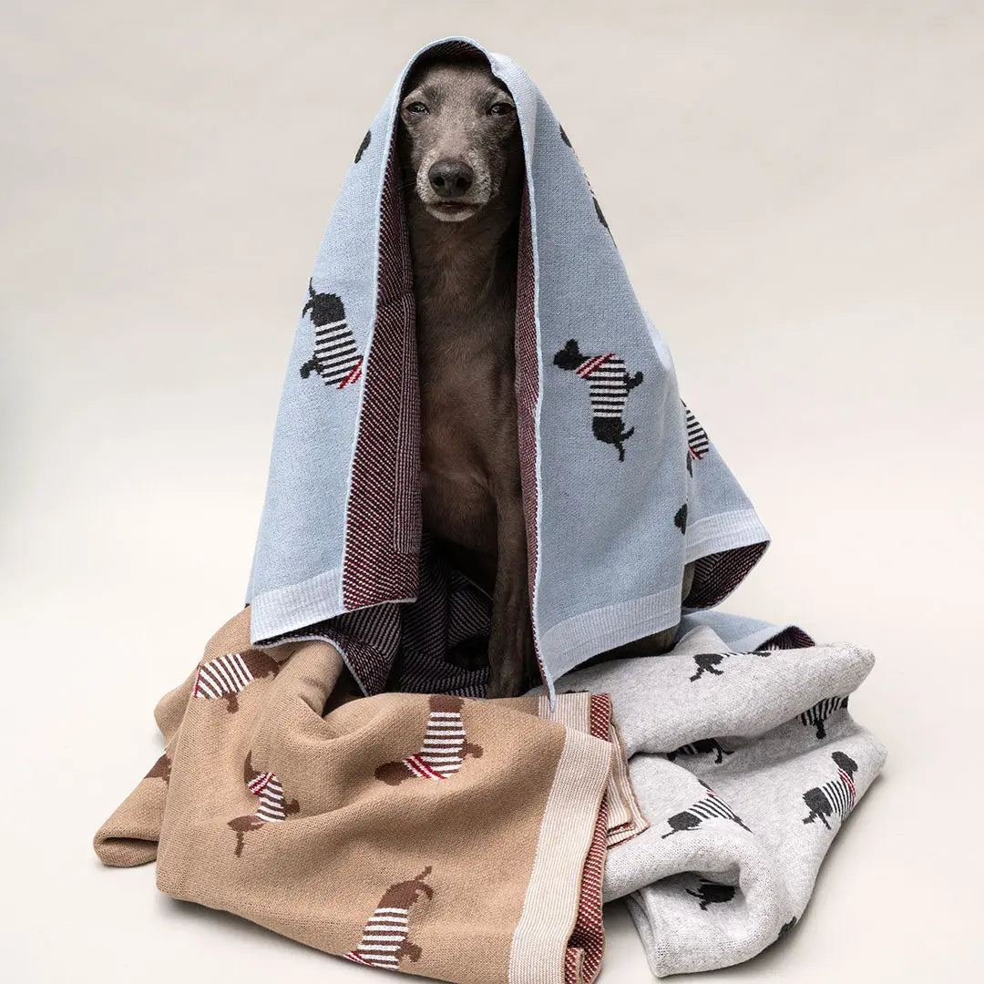 Hundedecke "French Cotton" 4legs.de