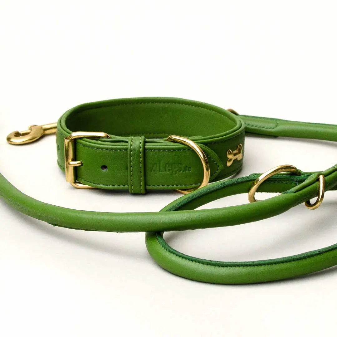 Hundehalsband "Golden Bone" - Green 4legs.de