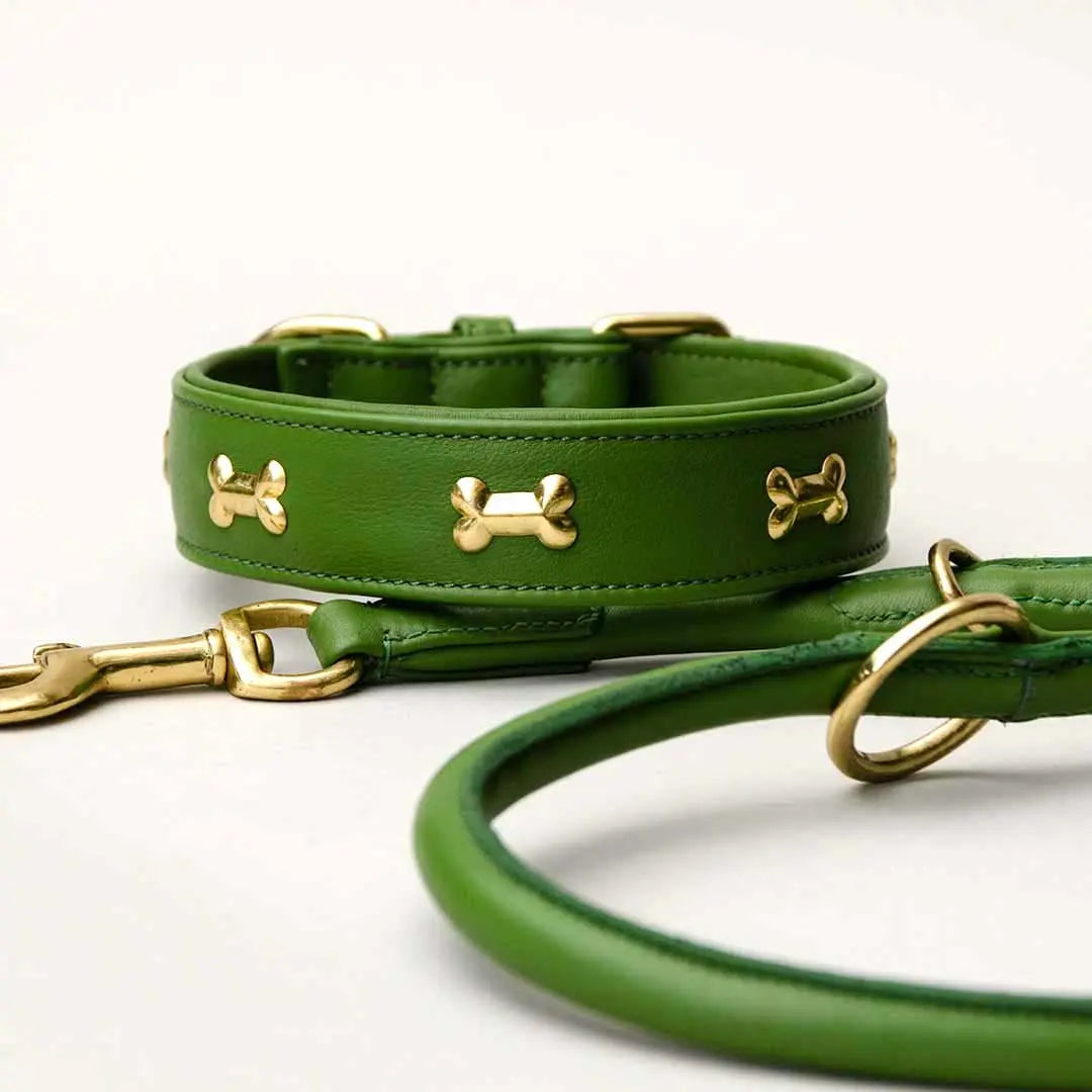 Hundehalsband "Golden Bone" - Green 4legs.de