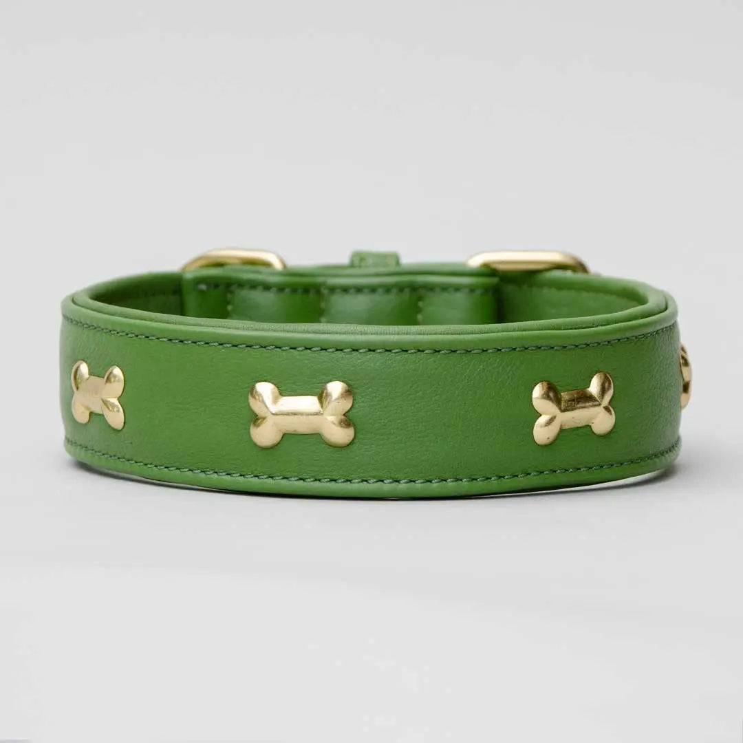 Hundehalsband "Golden Bone" - Green 4legs.de