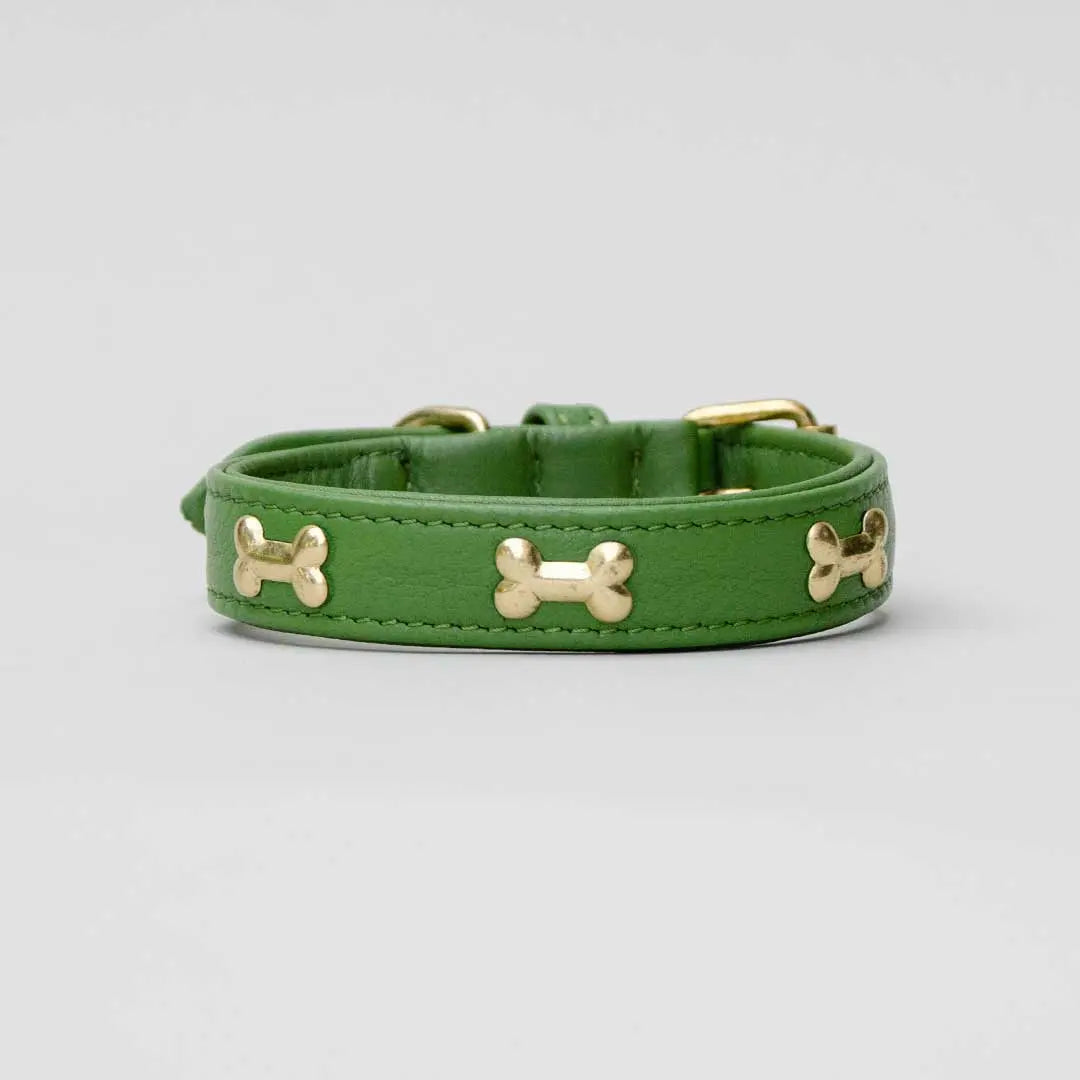 Hundehalsband "Golden Bone" - Green 4legs.de