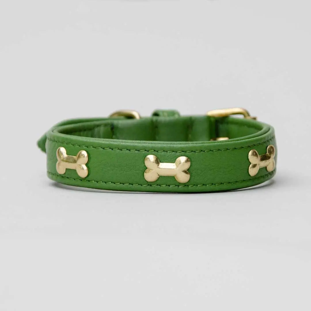 Hundehalsband "Golden Bone" - Green 4legs.de