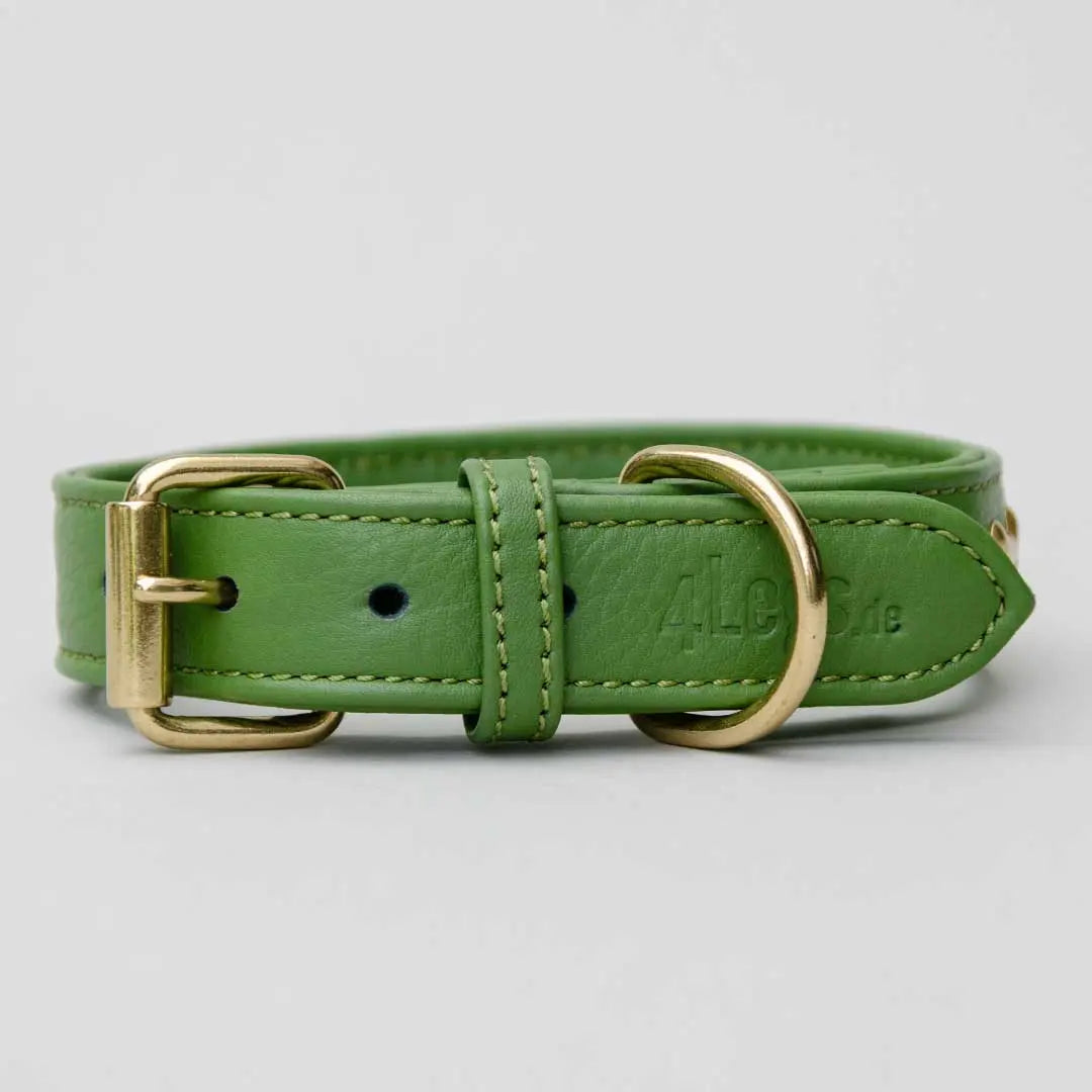 Hundehalsband "Golden Bone" - Green 4legs.de