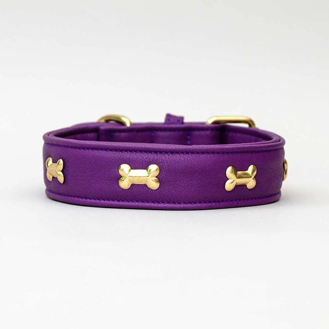 Hundehalsband "Golden Bone" - Lila 4legs.de