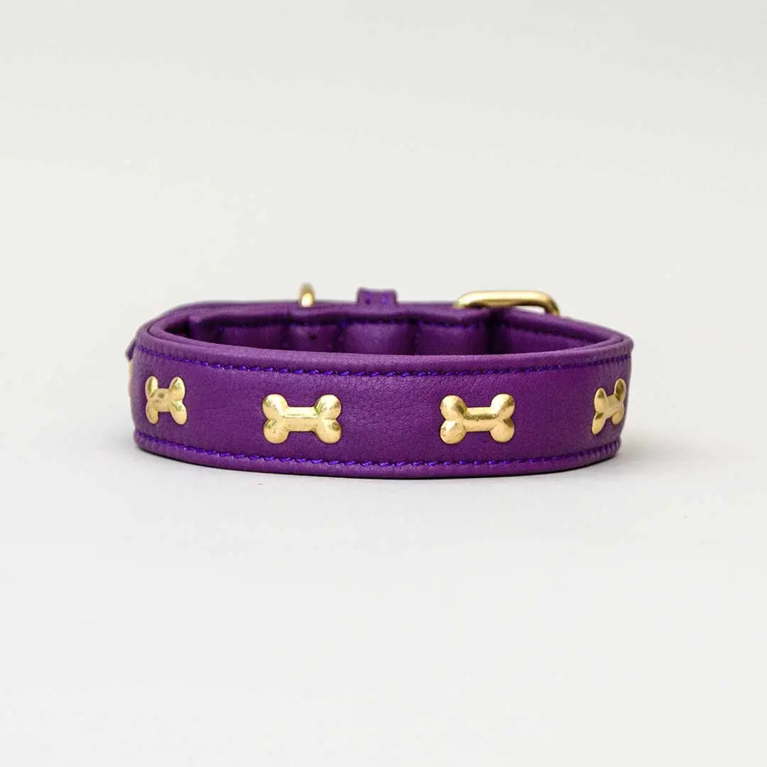 Hundehalsband "Golden Bone" - Lila 4legs.de