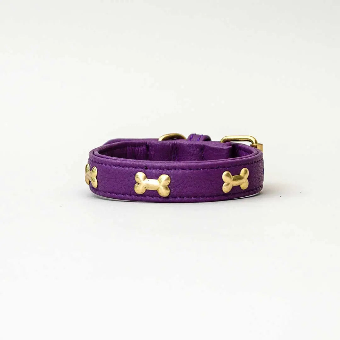 Hundehalsband "Golden Bone" - Lila 4legs.de