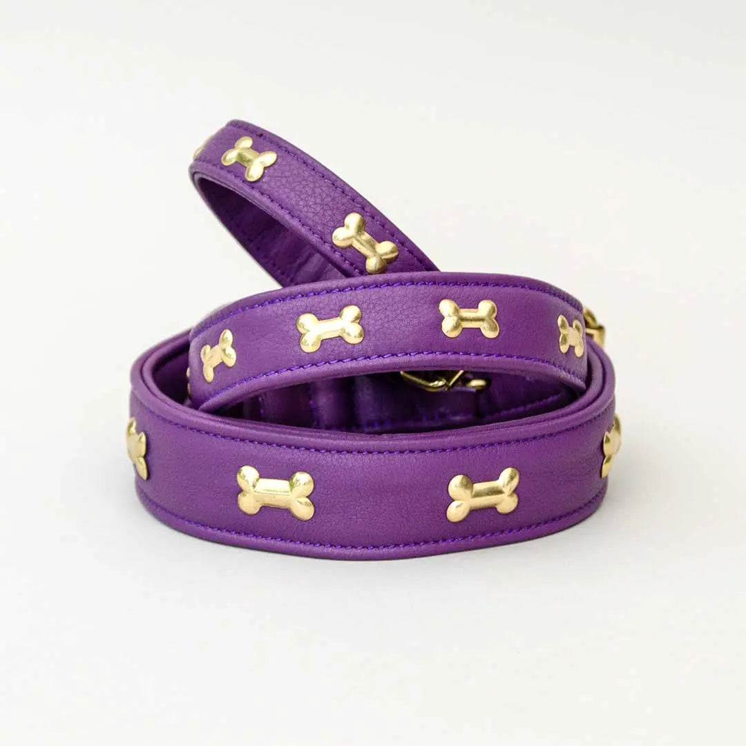 Hundehalsband "Golden Bone" - Lila 4legs.de