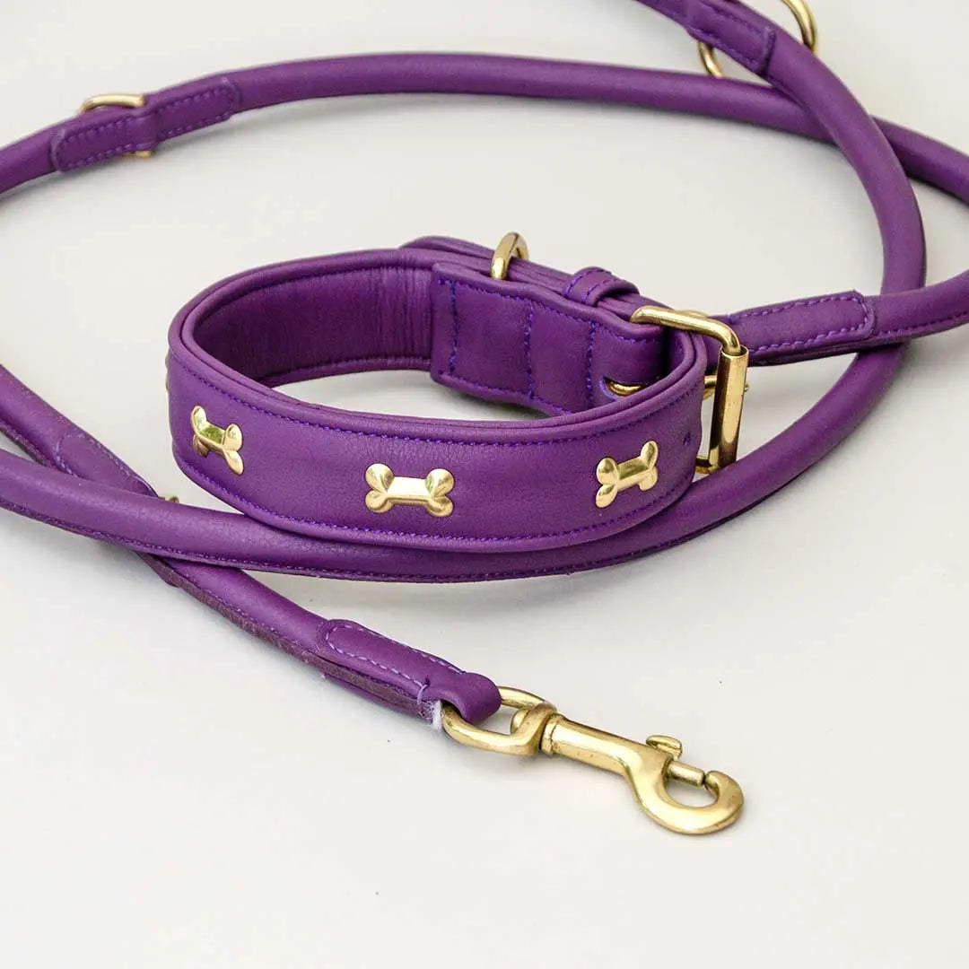 Hundehalsband "Golden Bone" - Lila 4legs.de