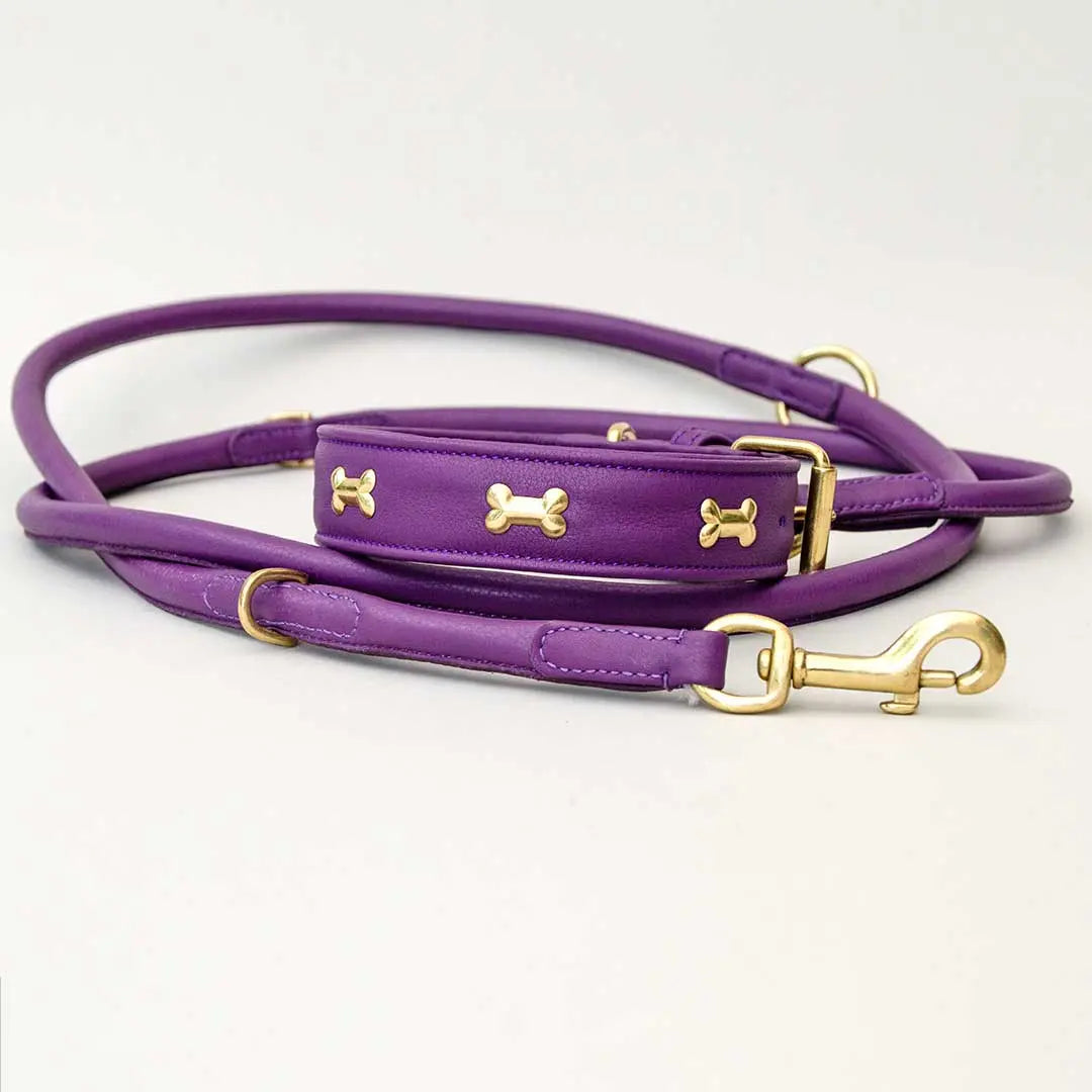 Hundehalsband "Golden Bone" - Lila 4legs.de