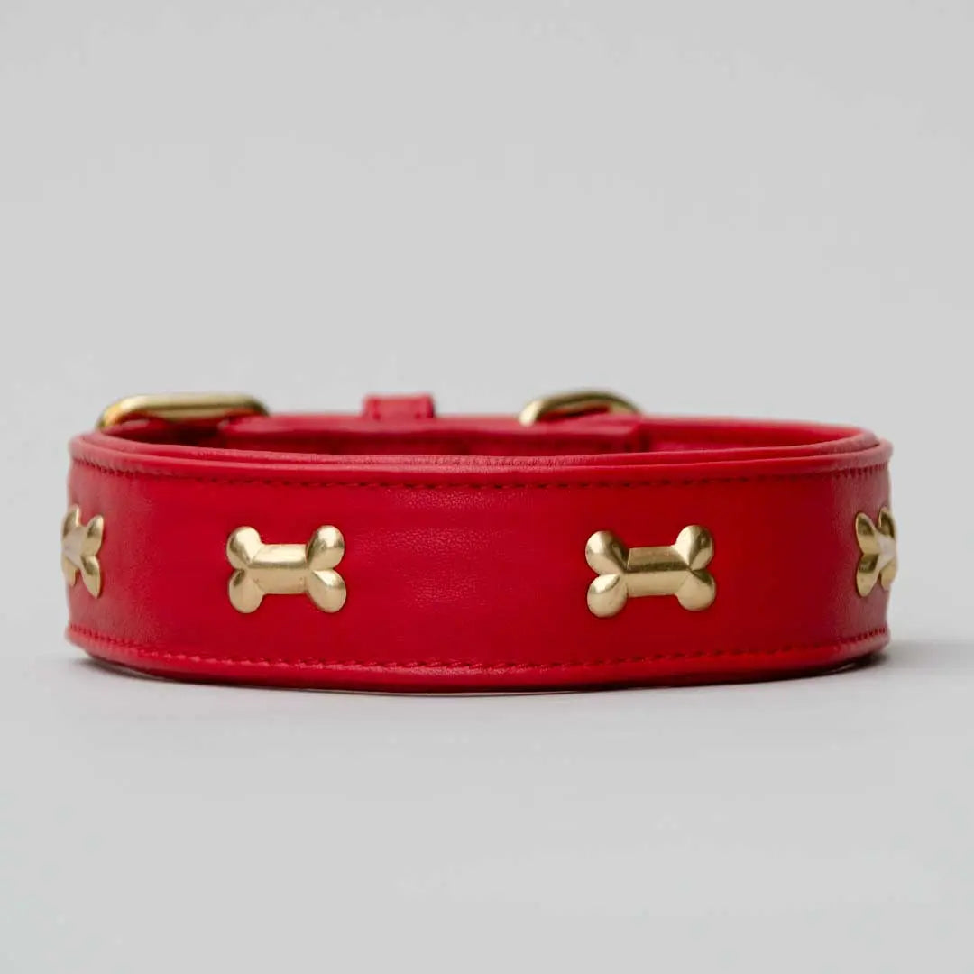 Hundehalsband "Golden Bone" - Red 4legs.de