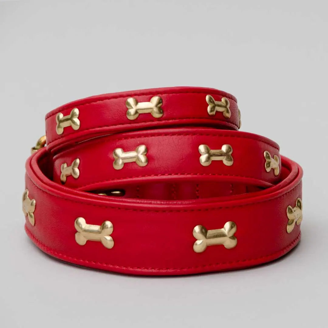 Hundehalsband "Golden Bone" - Red 4legs.de