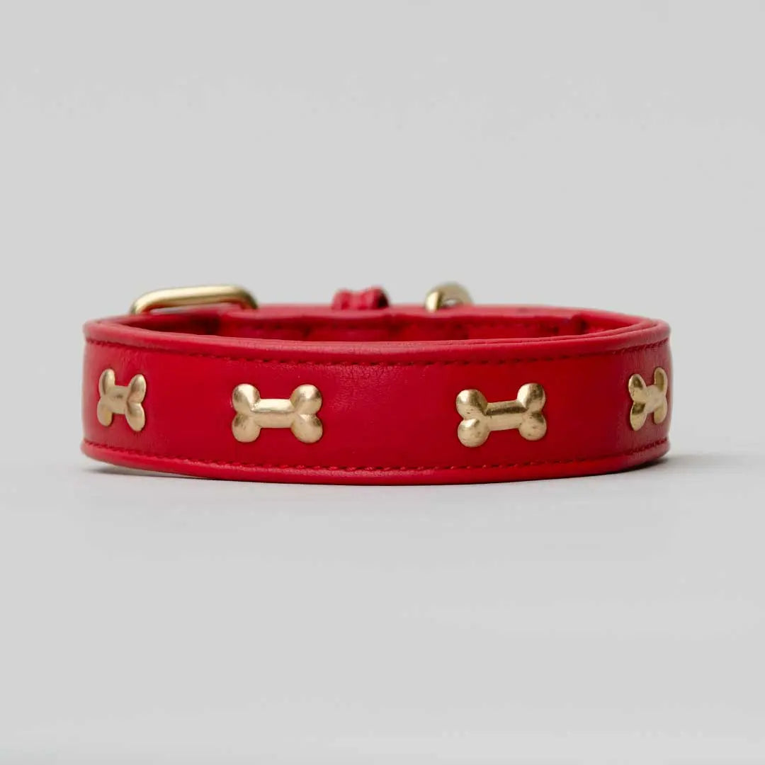 Hundehalsband "Golden Bone" - Red 4legs.de