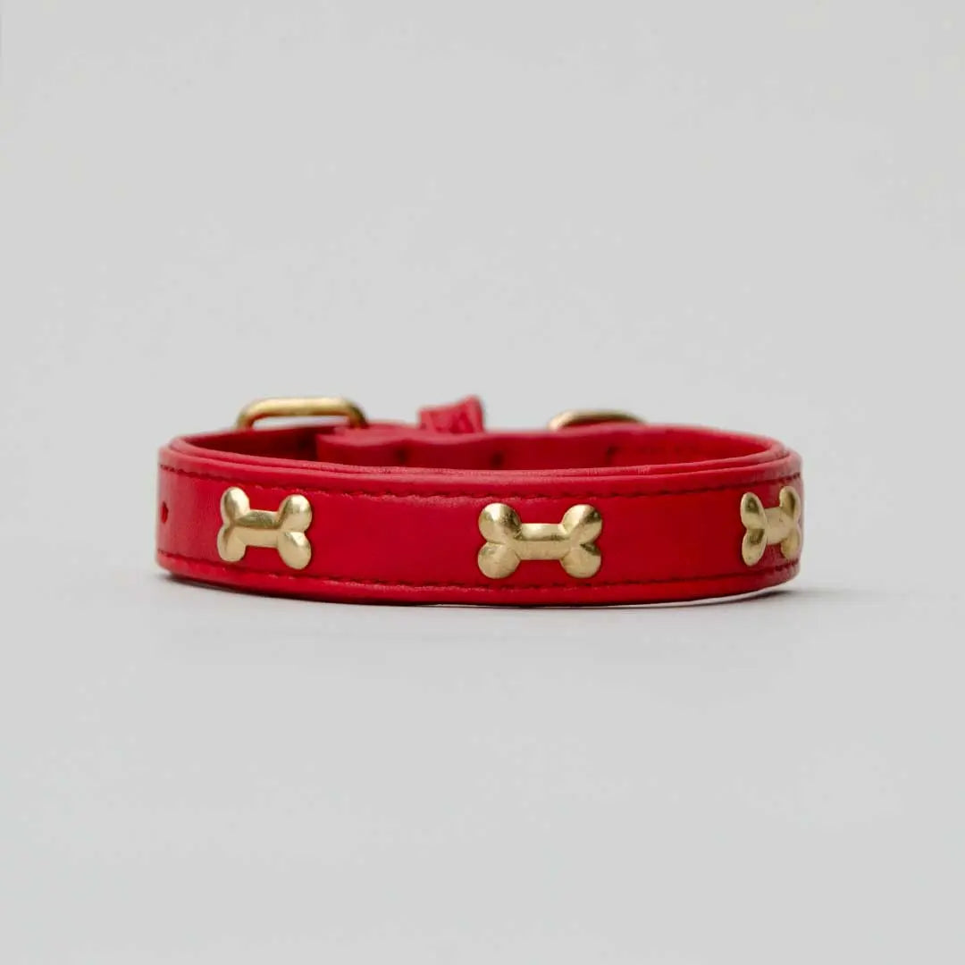 Hundehalsband "Golden Bone" - Red 4legs.de