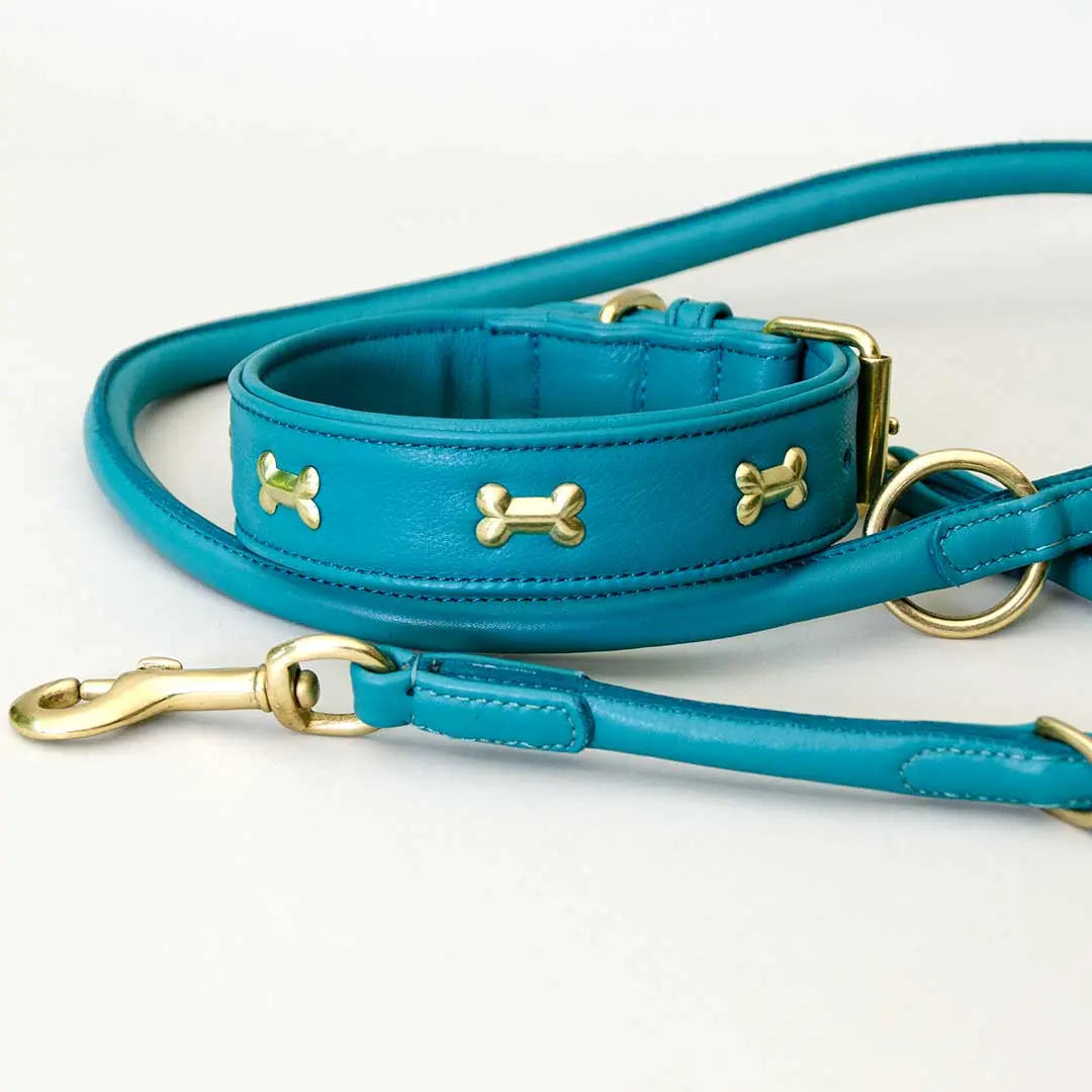 Hundehalsband "Golden Bone" - Türkis 4legs.de