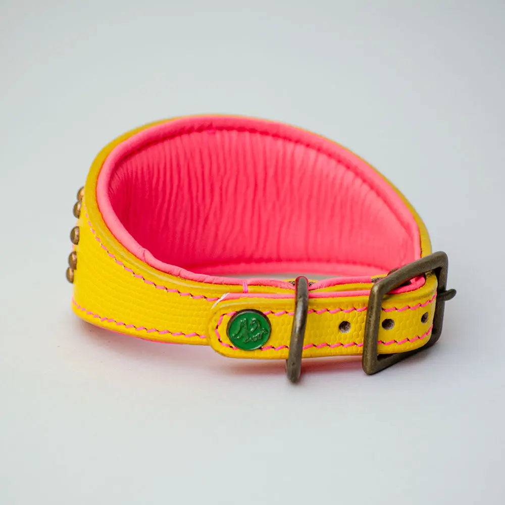 Hundehalsband für Windhunde - "Longnose Yellow Sunshine" 4legs.de