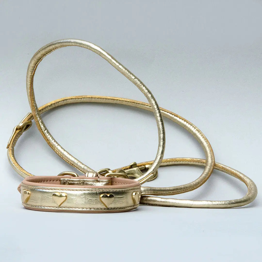 Hundeleine aus Leder "Golden Glam" 4legs.de