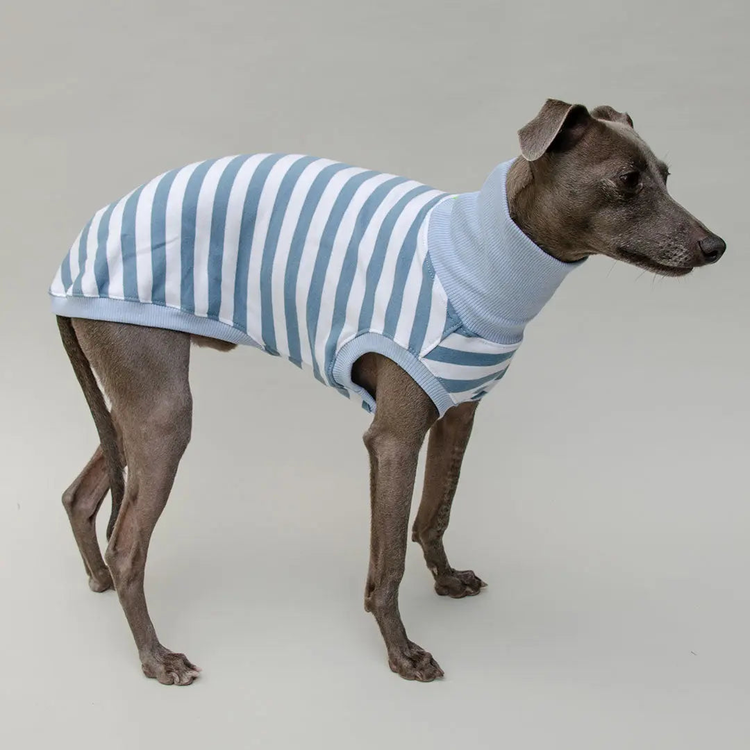 Hundeshirt "NORMANDIE" bleu 4legs.de