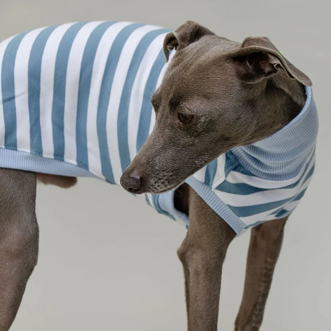 Hundeshirt "NORMANDIE" bleu 4legs.de