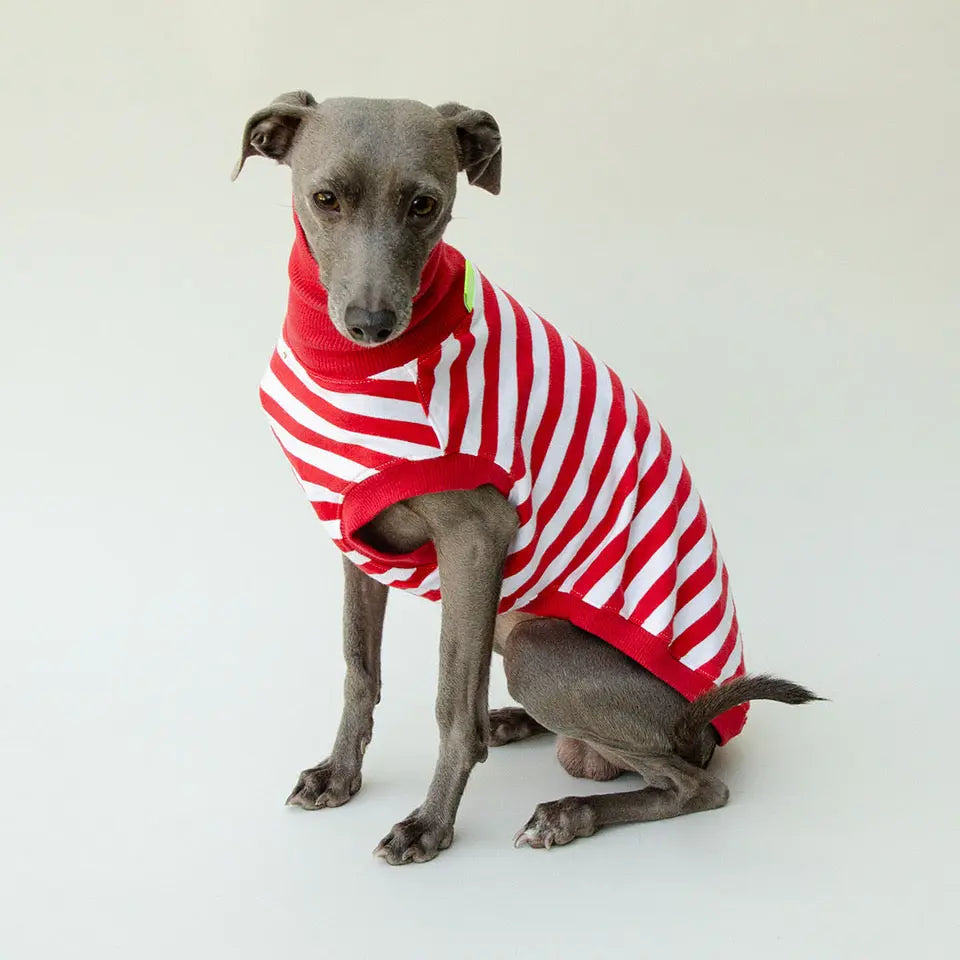 Hundeshirt "NORMANDIE" red 4legs.de