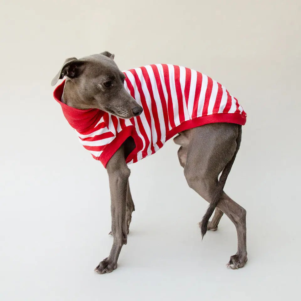 Hundeshirt "NORMANDIE" red 4legs.de