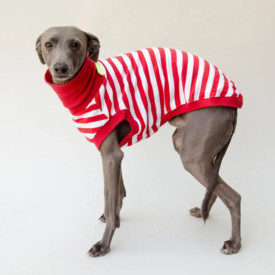 Hundeshirt "NORMANDIE" red 4legs.de