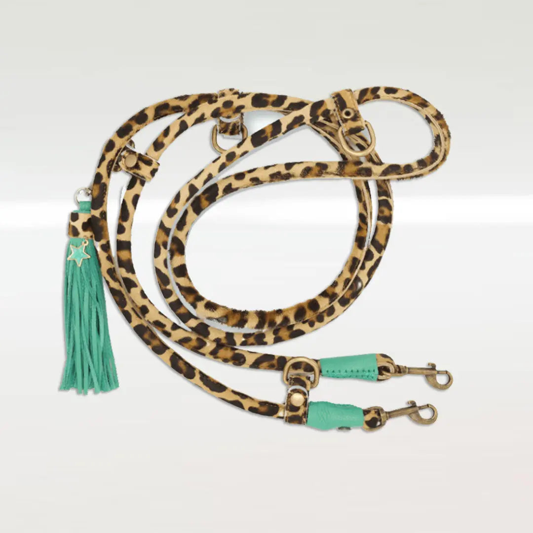 Im Boho Stil Hundeleine - "Leo" 4legs.de