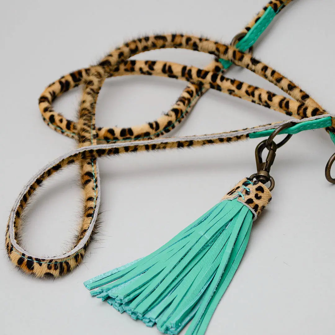 Im Boho Stil Hundeleine - "Leo" 4legs.de