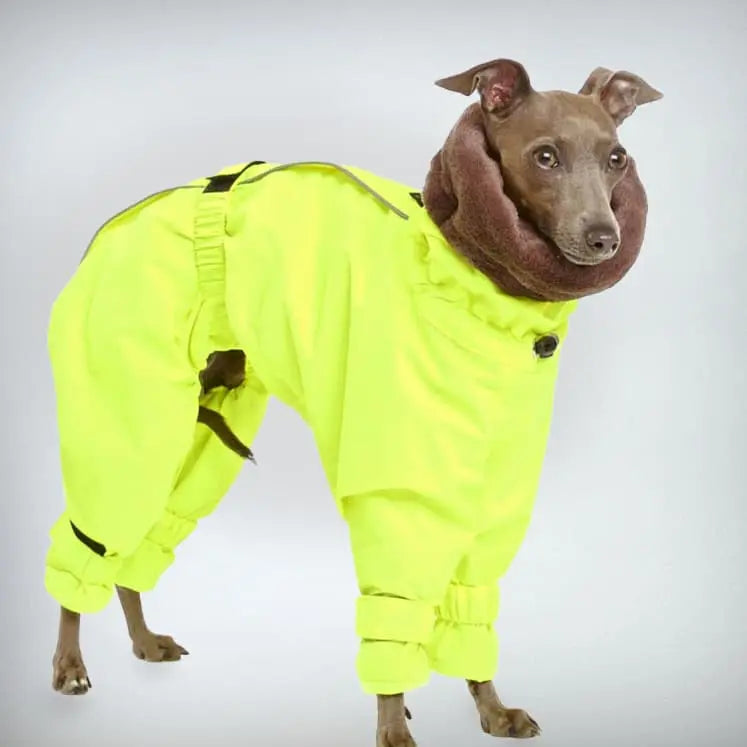 Der Hundeoverall für den Winter "Kelly IG Snow" in stylisch-auffälligem Neon gelb ist ein besonders warm haltendes Statement-Piece