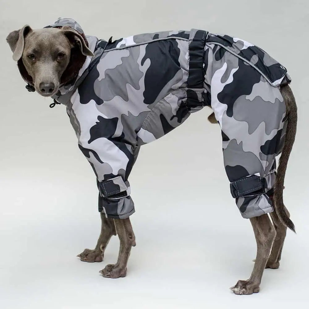 Kelly IG Snow - der warme Hundeoverall - camo grau - SDW 4legs.de
