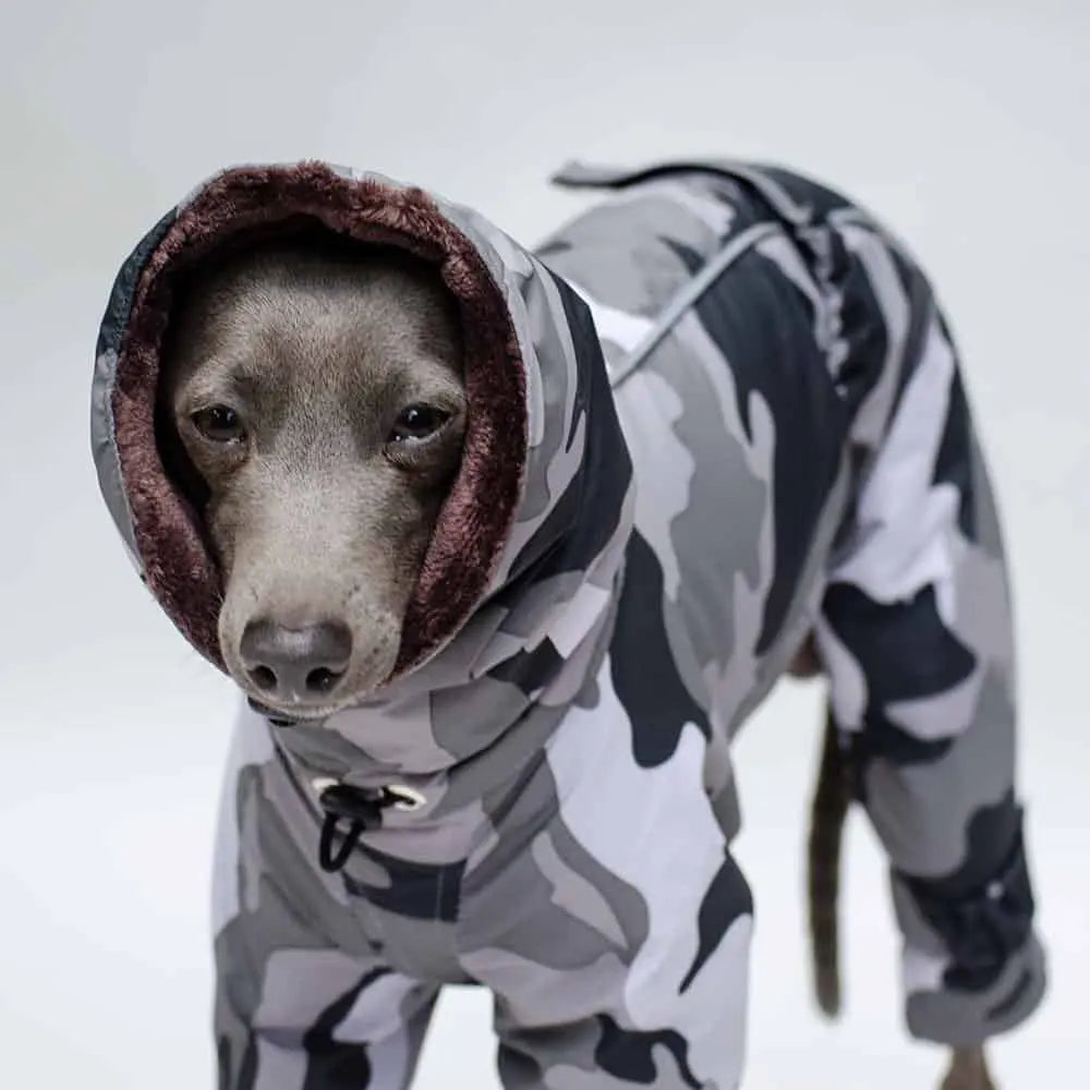 Kelly IG Snow - der warme Hundeoverall - camo grau - SDW 4legs.de